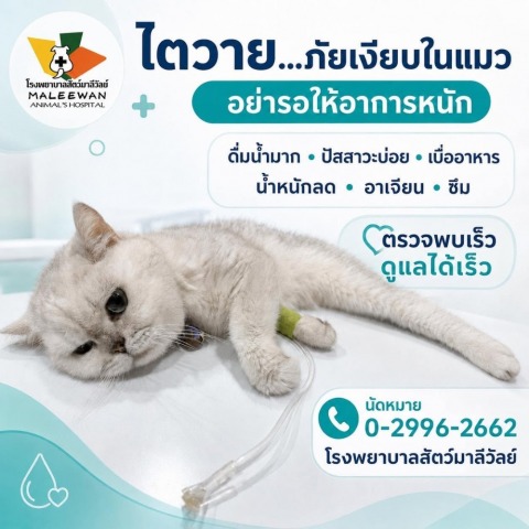 โรงพยาบาลสัตว์มาลีวัลย์ (14)